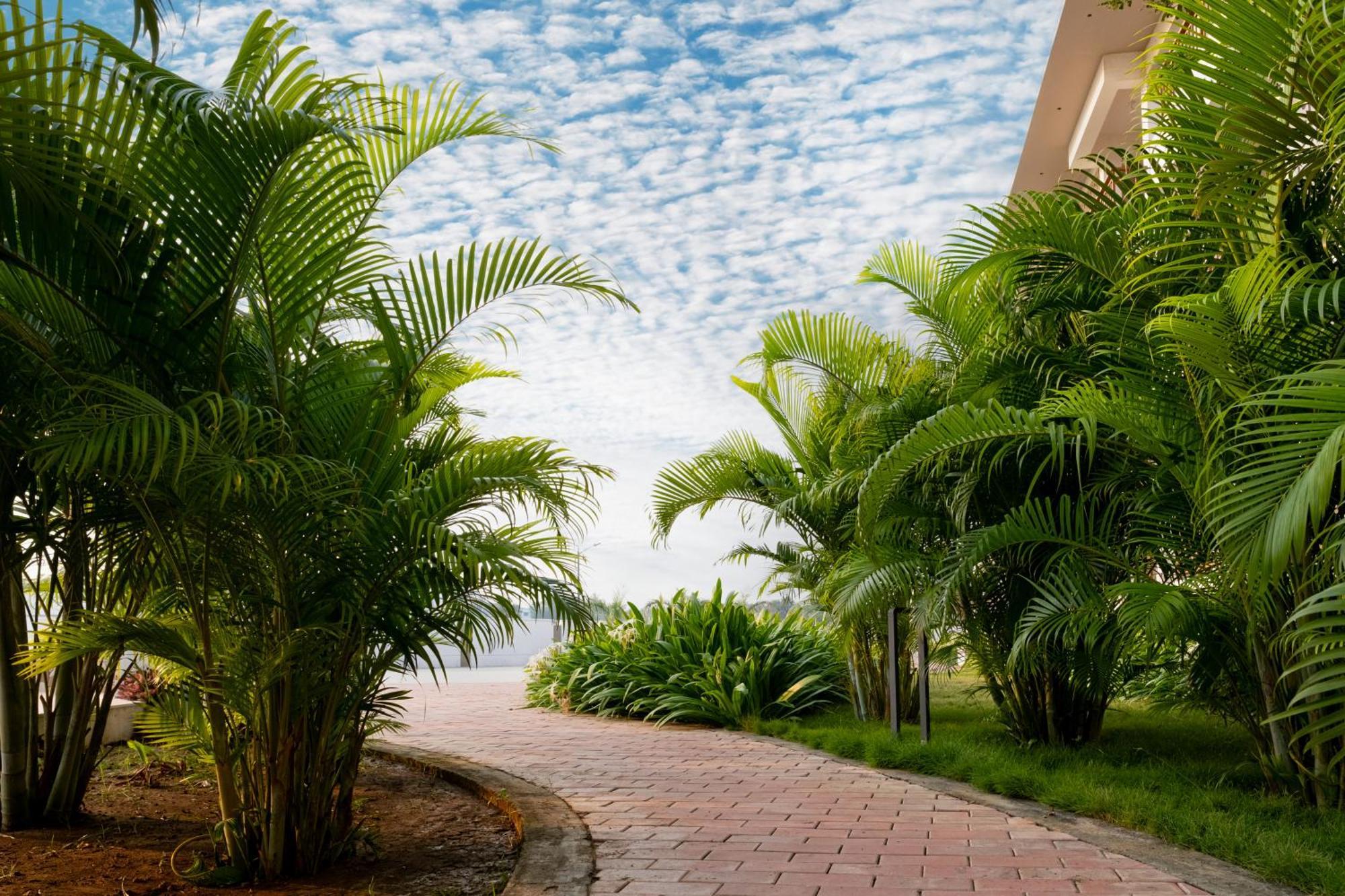 Palm Regal Resort Gopālpur Екстериор снимка